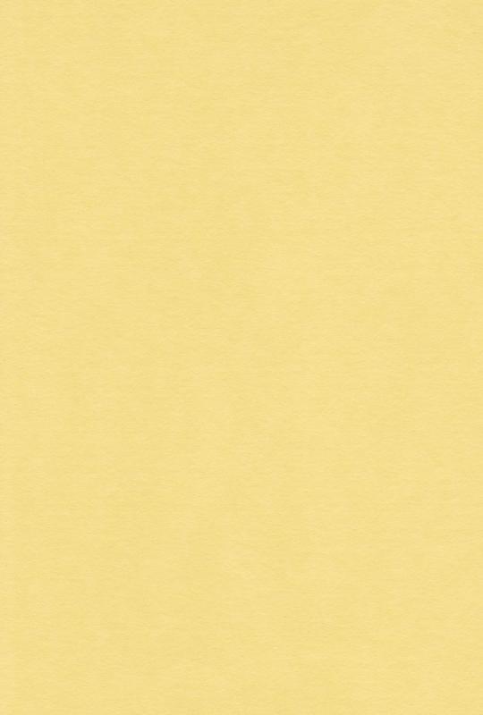 エスケント 色画用紙 A4 レモン 100枚 231906