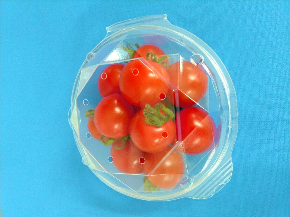 ���եԥ����塼�� �ߥ˥ȥޥȡ��֥롼�٥꡼���̼��ѥѥå� VFH70.8H ����110��107��50mm 1������1000����