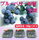 ブルーベリー生果ギフト　100g×3パック　福岡県産　生　完熟　果物　旬　冷蔵　プレゼント その1
