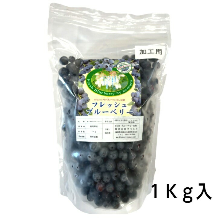 冷凍ブルーベリー加工用 1kg　 福岡