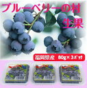 ブルーベリー生果ギフト　80g×3パック　福岡県産　生　完熟　果物　旬　冷蔵　プレゼント