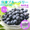 冷凍ブルーベリー 1kg　 500g×2袋　国産 福岡県産 送料無料　完熟 果物 フルーツ 冷凍 　 ...