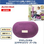 エクササイズプフ パープル アクティバイタル エクササイズ・プフ クッション プフ プーフ トレーニング バランスボール 女豹ボディデザイナー坂井先生 監修 テレビ通販 ジェリープフ ドーナツ型 体幹