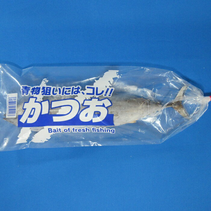 メヂカ(カツオ幼魚)1本袋入り 