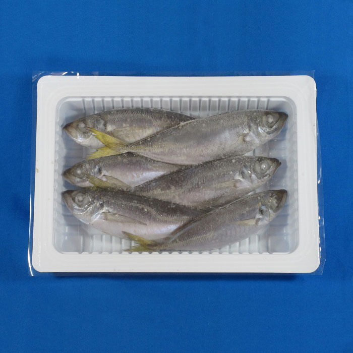 入門向け 一連の流れを知っておけば意外と簡単 ヤエンの釣り方講座 暮らし の
