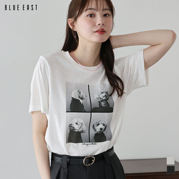 乐天商城 - DOGフォトプリント半袖Tシャツ【メール便】