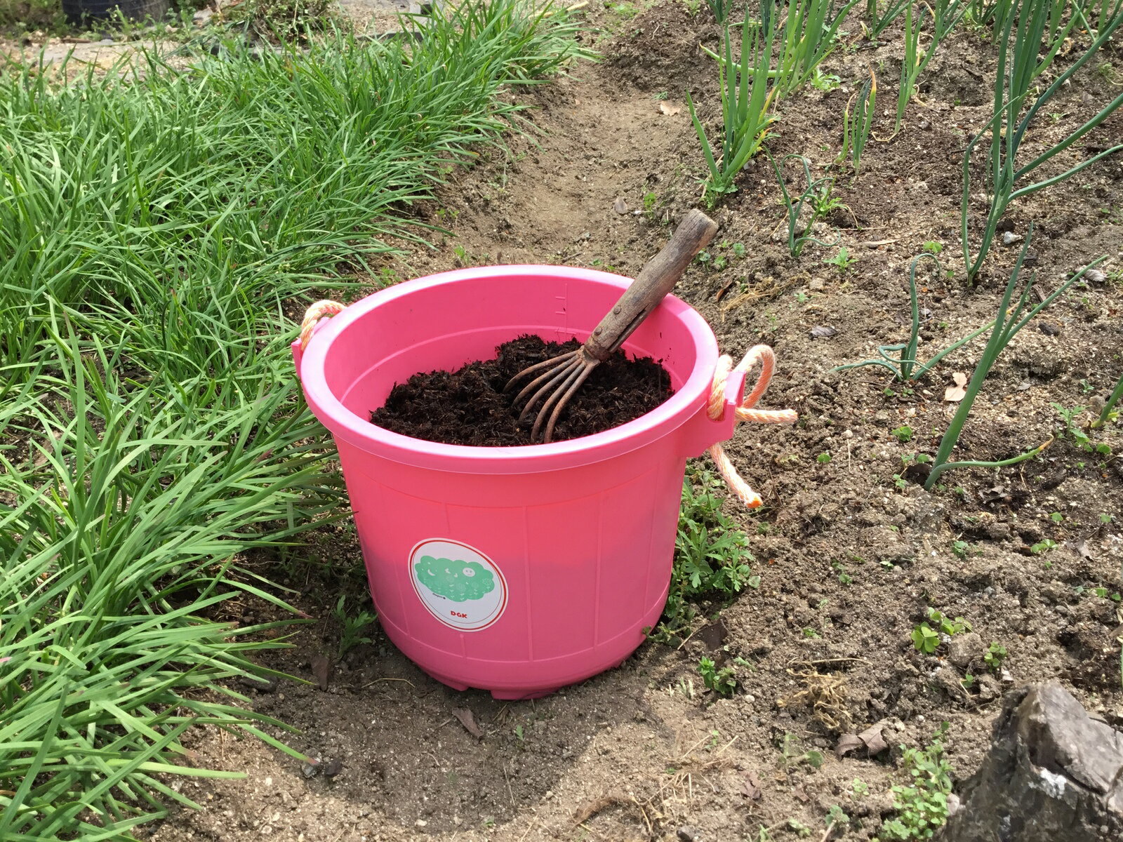 お買い得 定番人気 業者様限定品 Dgk 強靭バケツ タフバケツ 改 13型 10個 5色2個ずつ 大和技研工業 左官 塗装 工事用 ガーデニング Diy 送料無料 ｂｌｕｅｇｅａｒ