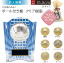 【名入れ無料】★楽天1位★ トロフィー 楯 高さ15.5cm かわいい ボール レリーフ付き サッカー トロフィー 野球 ゴルフコンペ トロフィー バスケ バレー 賞品 景品 表彰 卒団記念品 名入れ 優勝 KV5458B
