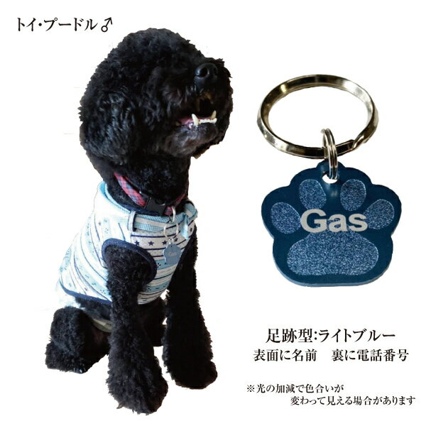 ������� ­�׷� �»һ� �ڥ��ޥ���!!�ۡ�̾����̵��!! ����̵��!!�ۥ������ �� ǭ ̾�� �� ̾���� �����ۥ���� ���襤�� �͡��ॿ�� �Хå����å� �ڥåȥХå� ���Ф� �ݡ��� �� ���㡼��