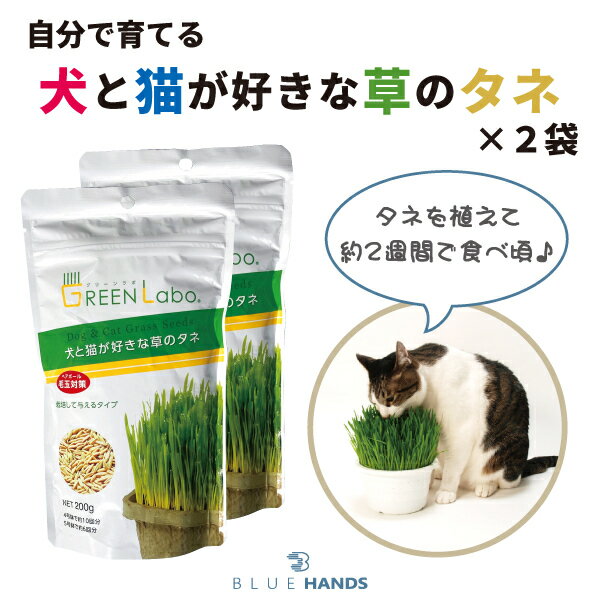 【送料無料】犬・猫草の種 2袋セット（1袋200g×2個） 犬草 猫草 犬 猫 草 種 タネ ペット ...