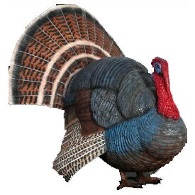 Բ-˥ޥӥåե奢꡼ڥ磻ɡۼĻե奢ˤ礦 turkey figure Ź/...