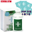 EGF エクストラ エッセンス PN サンプル 5枚付 パーフェクトナチュラル 60ml 有吉 バイオリンク シミ 濃いシワ ニキビ 肌荒れ ノーベル賞受賞 EGF イージーエフ BIOLINK ヒトオリゴペプチド 送料無料