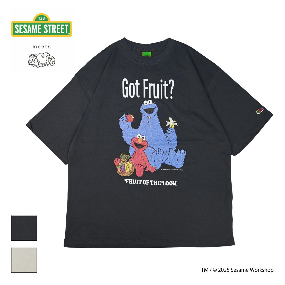 fol-81203600.jpg fol-81203600.jpg