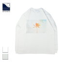 OFFSHORE オフショア OS×U-SKE PALMTREE L/S TEE メンズ/レディース ホワイト/グレー S-XL OS24-2CS-002