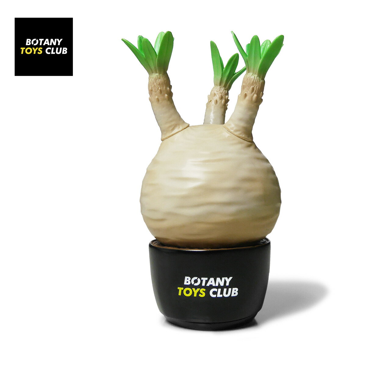 【楽天ランキング1位】BOTANY TOYS CLUB ボタニートイズクラブ Pachypodium Gracilius BASICver ベーシック【グラキリス パキポディウム グラキリス パキポディウムグラキリス ソフビ フィギュア ソフビフィギュア 塊根植物 塊根 植物 コーデックス 日本製】