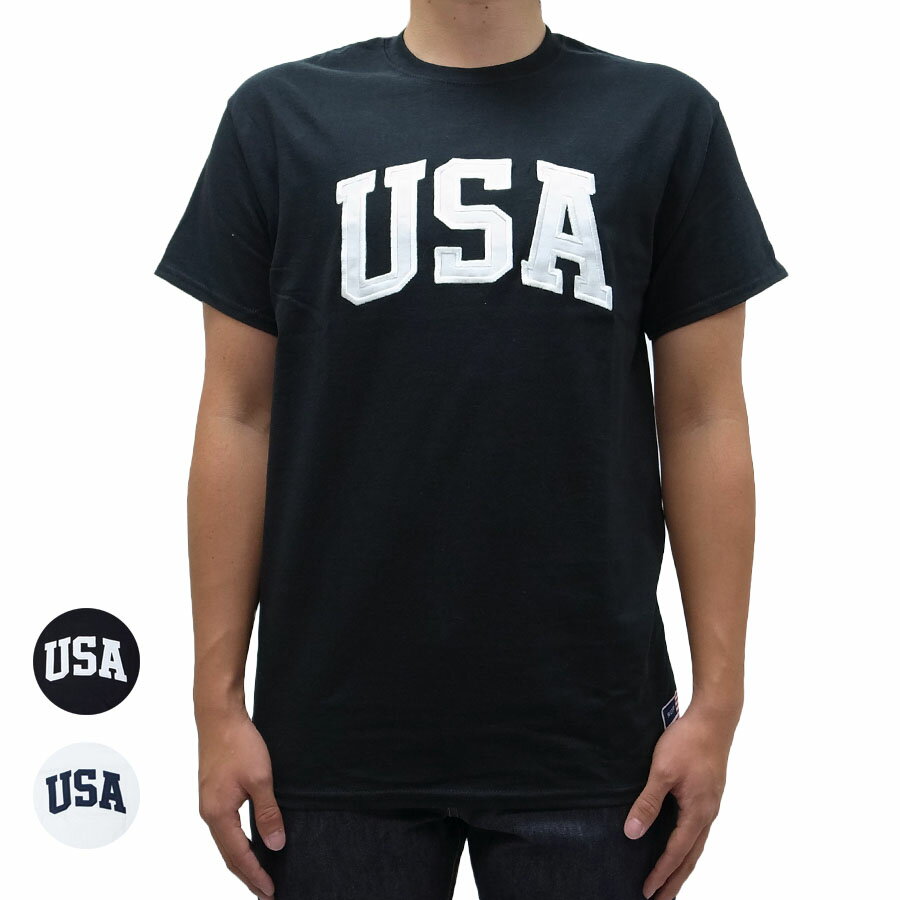 HUF × CHAMPION 4TH OF JULY HUF USA TEE 2色 ハフ チャンピオン コラボレーション 半袖Tシャツ ロゴ メンズ 独立記念日 インディペンデンスデイ OOO