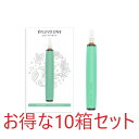 FLEVO ONE フレーバーキット 使い切りキット 10箱セット フレーバーフィルター4個付属 ニコチン・タール0mg 国産フレーバーリキッド（クールメンソール）　母の日 父の日