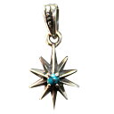 ペンダントトップ メンズ シルバーチャーム パーツ アクセサリー 星 12月 誕生石 ターコイズ / INFINITY CHARM 誕生日 プレゼント 【コンビ...