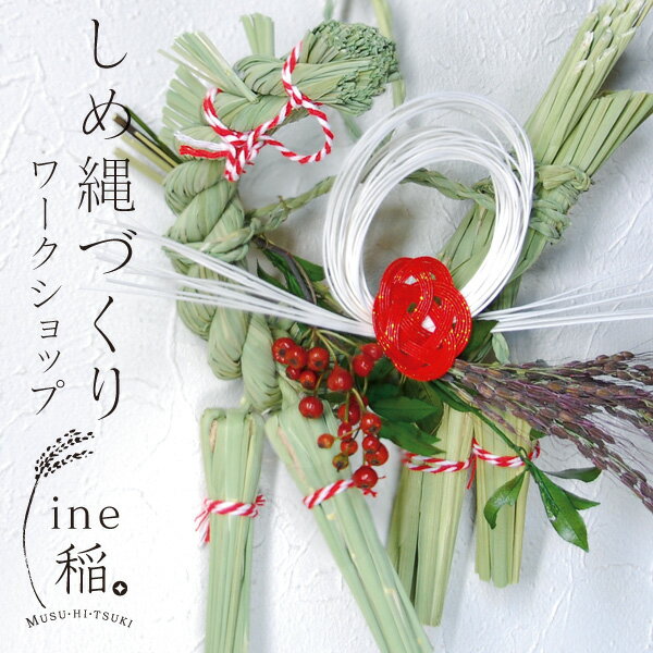 ֥롼졼 奨꡼˼㤨֤Ť å 궵 2026ǯ  ǯ ϡ̵ۢ͹ʪʤRCPۡפβǤʤ4,000ߤˤʤޤ