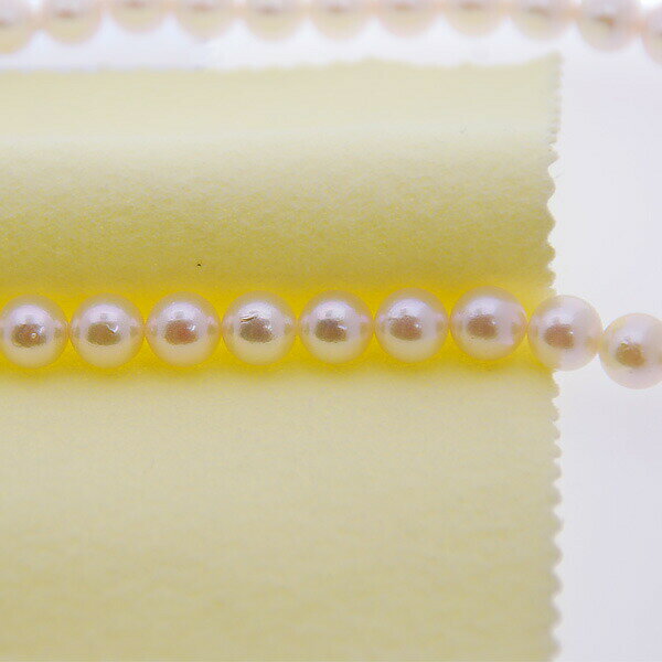 ��5�祻�åȡۿ����ե�å��奯���� ����꡼�ʡ� ������ �ѡ����᤭ ����ʳظ���곫ȯ ���������꡼���� �������ʡڥ᡼�����б��� ��˫�� ´�Ƚˤ� �����ˤ� ´�ȵ�ǰ ���ͽˤ� ��ǰ