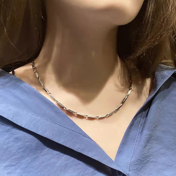 50�ڻҥ������� 2.5mm 40cm ���ƥ�쥹 �ڻ� �������� �ͥå��쥹 ���ƥ�쥹�������� �����㥹���� ����ץ� ��°����륮�� �˽����� ��ǥ����� ��� �ͥå��쥹�������� �ϥ�ɥᥤ�� �Ǻ� k18�����ƥ��� �˥å���ե꡼