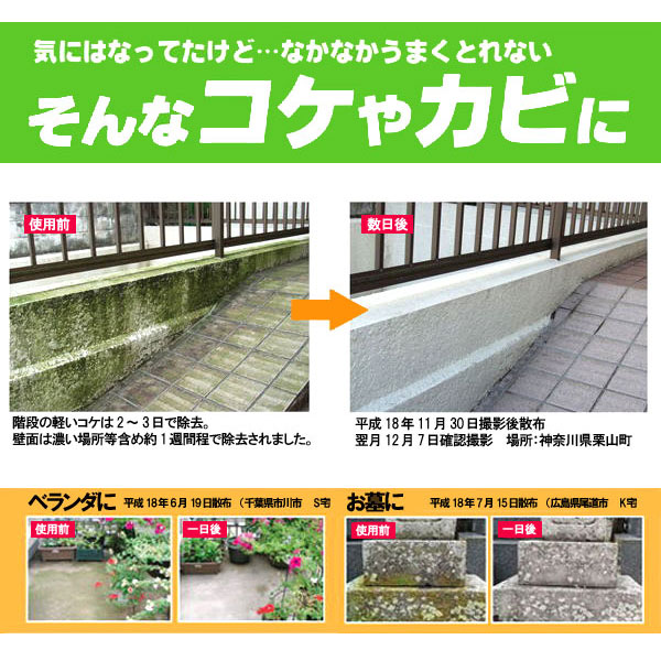 キエールコケカビ かび取り剤 苔取り剤 コケ取り剤 こけ取り剤 殺菌 除去 屋外用 ベランダ 廊下 玄関 お墓 blueman-10004793 セレクトSHOPぶるーまん サンプル画像3