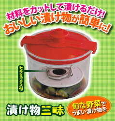 漬け物三昧 漬物容器 密閉容器 漬物 キッチングッズ キッチン用品 便利グッズ 調理器具 浅漬け ギフト プレゼント