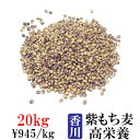 讃岐もち麦 ダイシモチ 20kg 紫もち麦ごはん 国産 米 即納 高栄養 ダイエット食品 置き換え 満腹感 食物繊維 20キロ 業務用 激安卸販売 仕入 送料無...