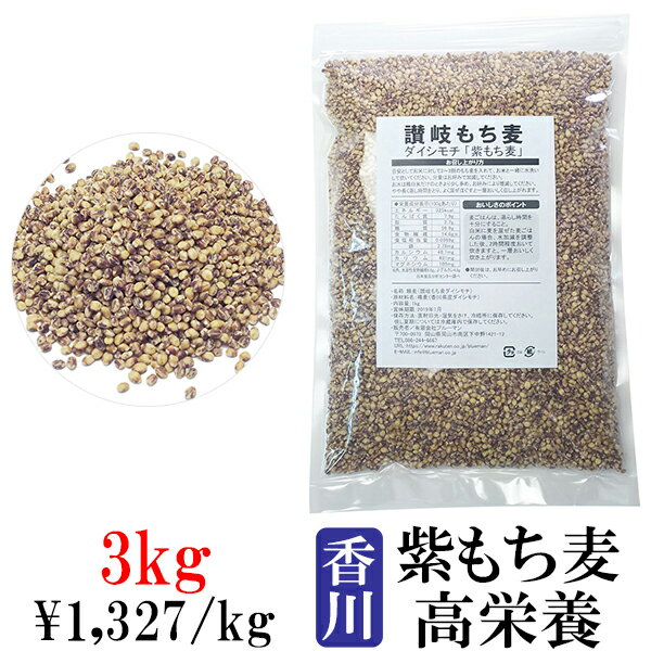 讃岐もち麦 ダイシモチ 1kg×3袋【3kg 紫もち麦ごはん 国産 高栄養 ダイエット食品 置き換え