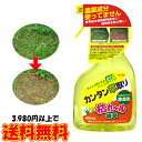 枯れ〜ル雑草 除草剤 スプレータイプ 簡単 草取り 即効性 庭 駐車場 墓地 スプレー式除草剤 雑草処理