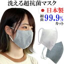 送料無料メール便 マスク 日本製 抗菌 洗える 布マスク 大