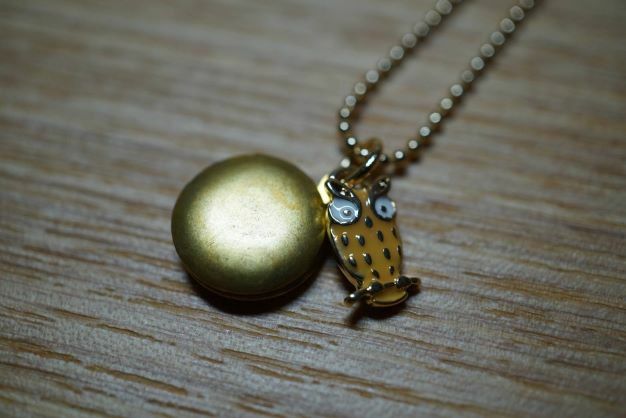 Rakuten - 大切なもの　ロケット　ペンダント　写真入れ　アクセサリー charm 101 ロケットペンダント　ふくろう
