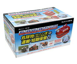 �ڥ������ȹԴ̡��缫���ȡ�FZ-10(10��å���)����500��