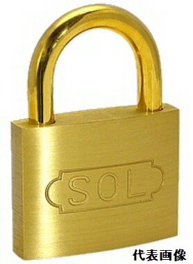 【防犯用品】SOL HARD(ソール・ハード)シリンダー南京錠 No.2500 横幅40mm キー3本付【772】