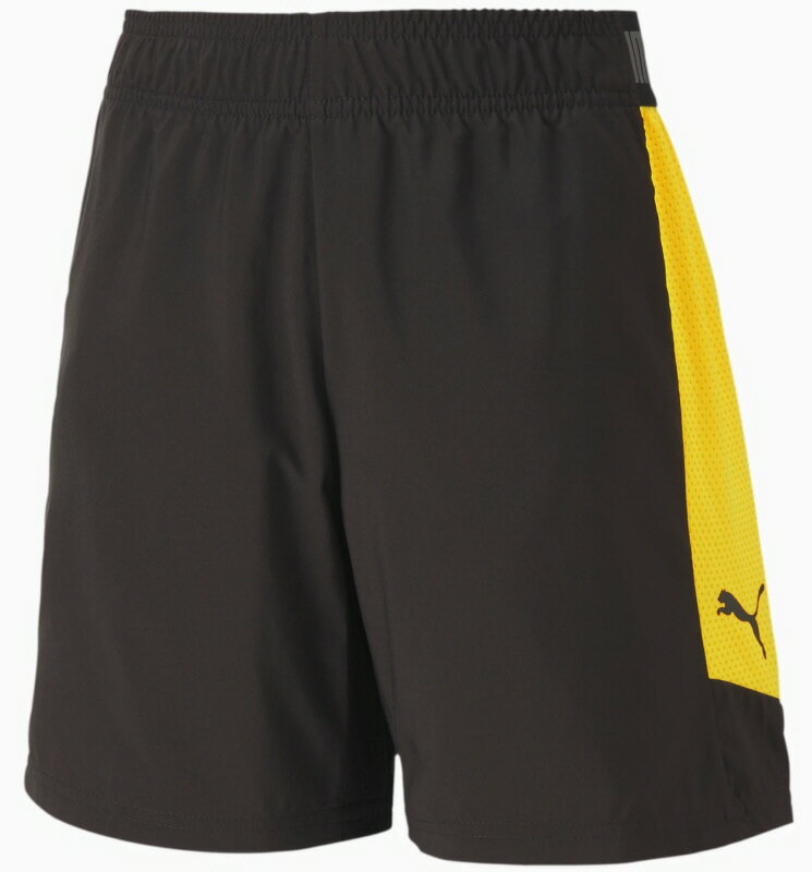 【サッカージュニアウエア】PUMA(プーマ)FTBLNXT ウーブンショーツ 656976【750】