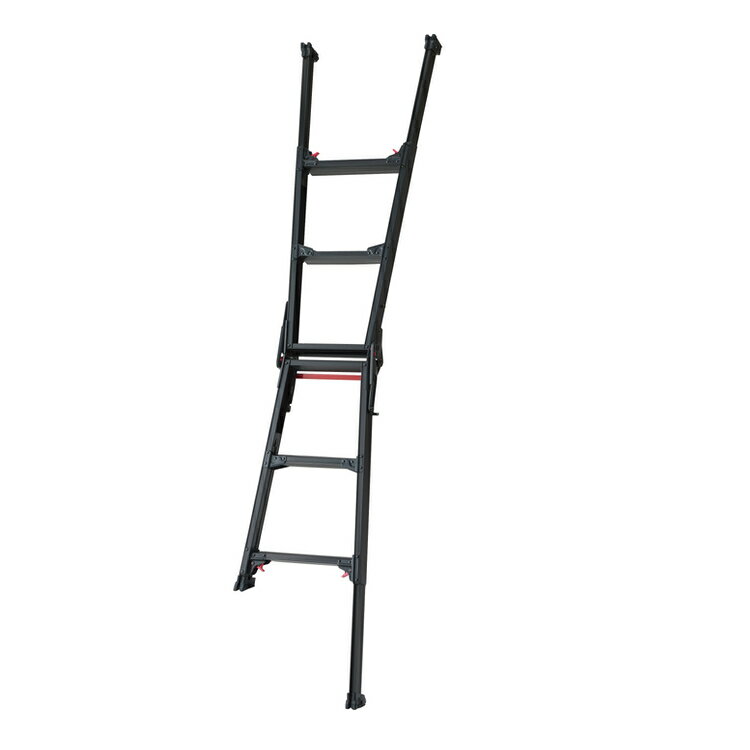 ����������(�����ϰ����)�ۡھ��ߺ�����ʡ�Ĺë���(Hasegawa)BLACK LABEL(�֥�å��졼�٥�)�������̵�Ω 3��(3��)10136 RYZB-09��459��