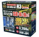 【LEDフォグ】JB(日本ボデーパーツ) LSL-602Y(H3タイプ/淡黄色/専用キャップ付) 【500】