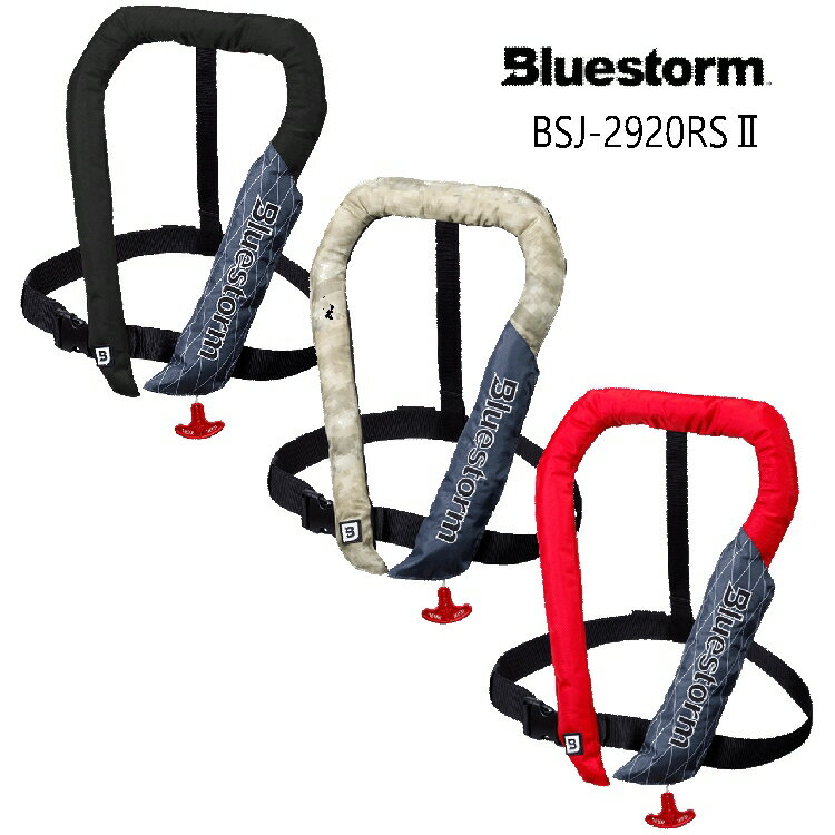 Bluestorm BSJ-2920RSII С510