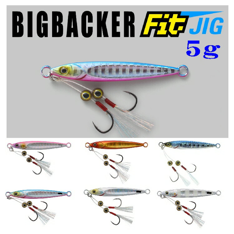 【釣り】JACKALL BIGBACKER FitJIG 5g【510】