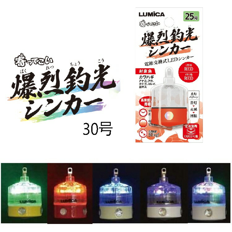 【送料無料】80g 大量割引10個 鯛ラバ タングステン タイラバ タングステンヘッド 保護チューブ付 タイラバヘッド 鯛ラバ タングステン 釣具 自作 80グラム シンカー オモリ 鯛ラバ 誘導式 タイラバヘッド たいらば のっこみ