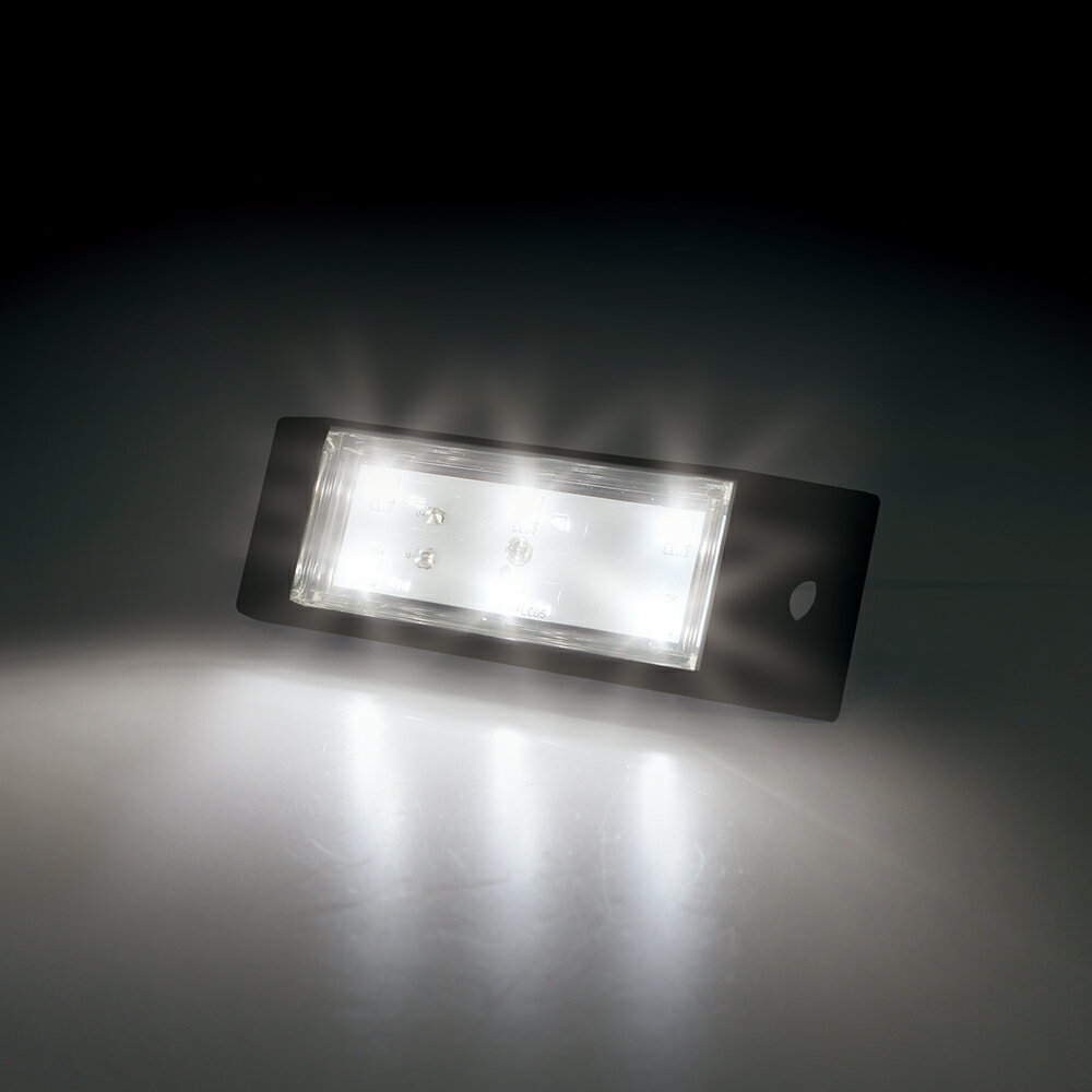 �ڼ����б��ۡڥȥ�å����ʡ�YAC(��å�)��CE-494(�ޥ���饤�� ������ �ۥ磻��)����500��