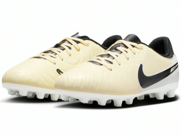(ϰ)ۡڥå˥ѥNIKE(ʥ)ƥ 쥸 10 ǥߡ HGDV4349-700...