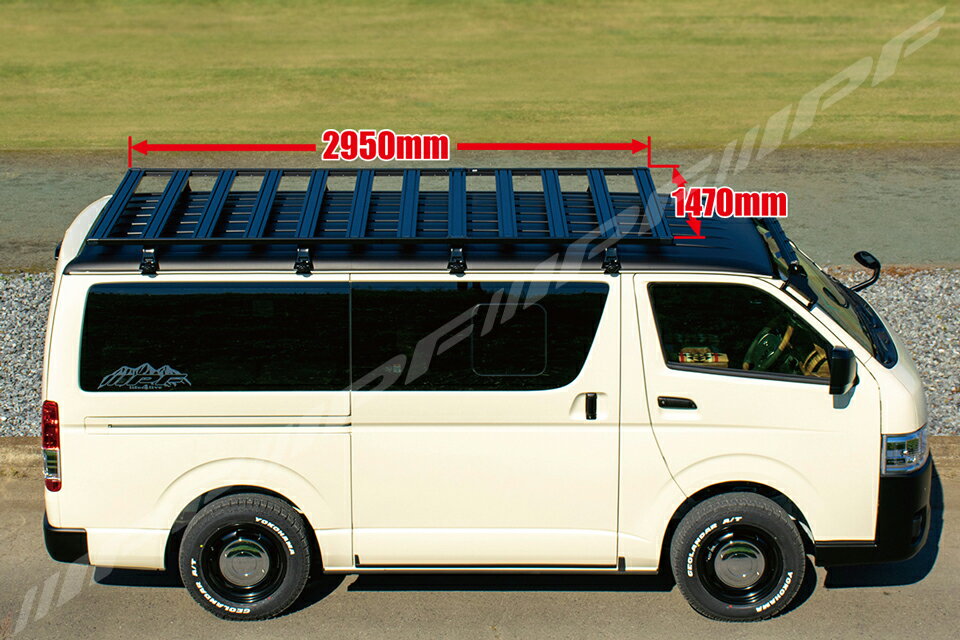 �ڼ����б�/��������̵���ۡڥ������ʡ�IPF(�����ԡ�����)��EXR-03(EXP�롼�ե�å� ������C)����500��