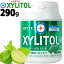 LOTTEȡ 饤ߥȡ꡼ 290g ᥬܥȥå XYLITOL LIME MINT MEGABOTTLE 塼󥬥