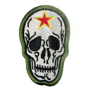 自衛隊 ワッペン 小松基地 飛行教導群 アグレッサー 尾翼マーク パッチ ドクロ ベルクロ付き 自衛隊グッズ 航空自衛隊