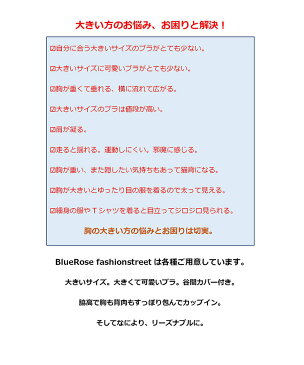 ブラジャー ショーツ 2点セット 大きいサイズ 女性下着 ノンワイヤー リフトアップ ナイトブラ 補整 脇高補正 脇肉スッキリ セクシーショーツ 谷間 4段4列ホック C D E 全4色