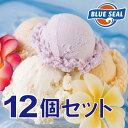 【アイスクリーム】ブルーシールギフトセット12（送料込）