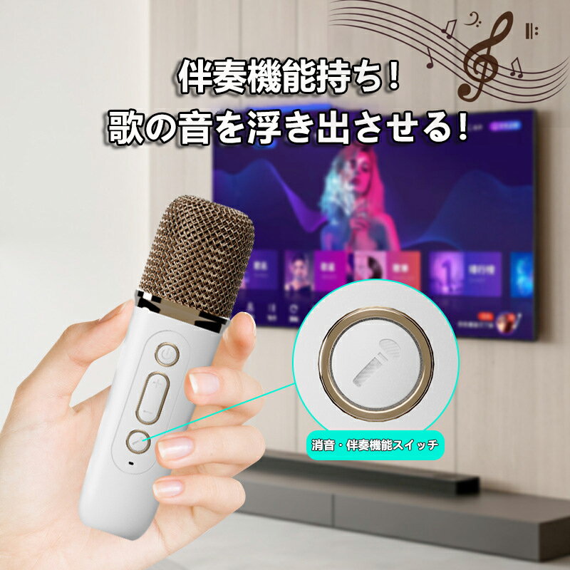 BlueSky　Fukayaのカラオケセット ミニカラオ マイク2本 Bluetooth 家庭用 マイクスピーカー ワイヤレス マイク karaoke 無線マイク 多彩LEDライト付き スピーカー 自宅 歌 練習 家庭カラオケ Android/iPhoneに対応｜アングル3