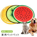 ペットベッド 夏用 ペットマット ラタンマット 猫用 クールマット かわいい 猫マット 犬マット ペット納涼マット ペット用品 夏ござ 滑り止めデザイン 涼感 マット 室内用 ペット用寝具 洗える 寝床 猫用品 子猫ベッド 涼しい 犬用品 ベッド 子犬 小型犬 大型犬(4)