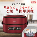 マルチ炊飯器 SY-110 ソウイ SOUYI ミニ炊飯器 小型炊飯器 炊く 蒸す 調理 簡単 2合 一人暮らし 少量 料理 炊飯 ご飯 カレー 同時調理 タイマー搭載 コンパクト 軽量 持ち運び